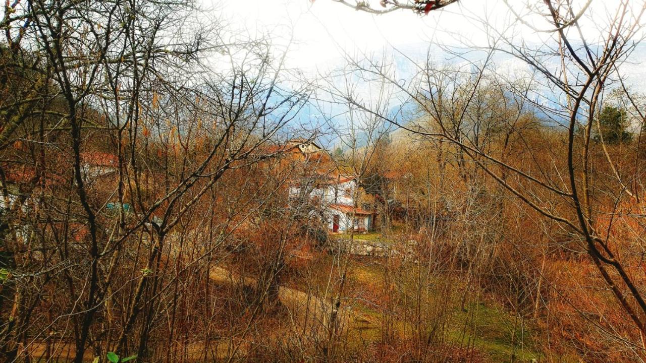 Hotel Rural La Tahona De Besnes Аренас де Кабралес Екстериор снимка